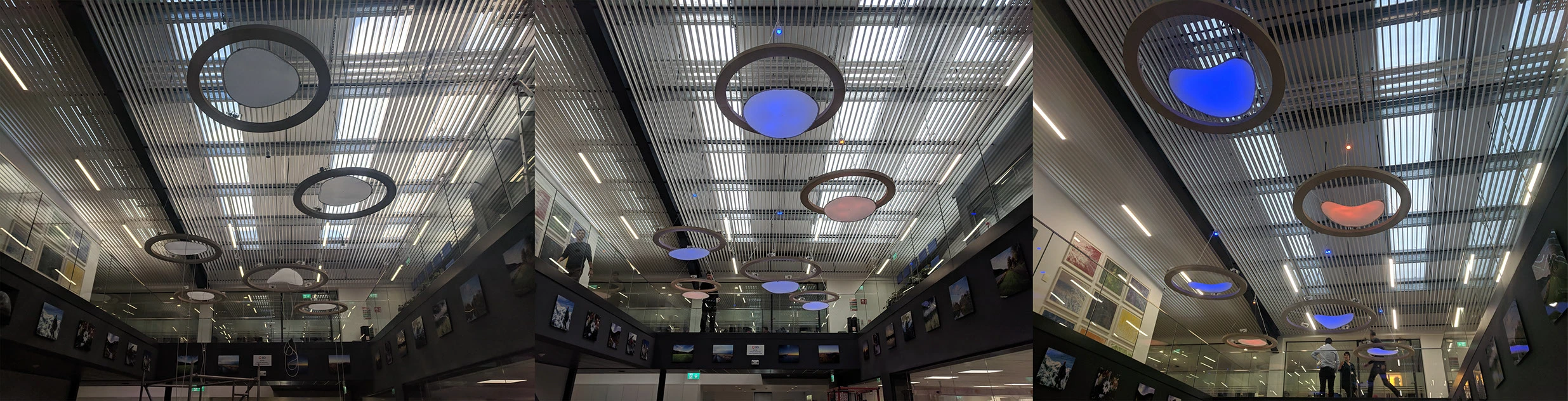 Kinetic Cells Sculpture installation view